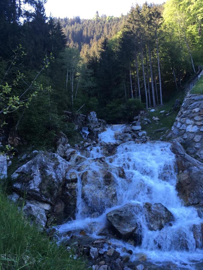 Katharina Bis 12 Personen Mit Saunachalet Und Blick Auf Bergwelt Des Zillertals