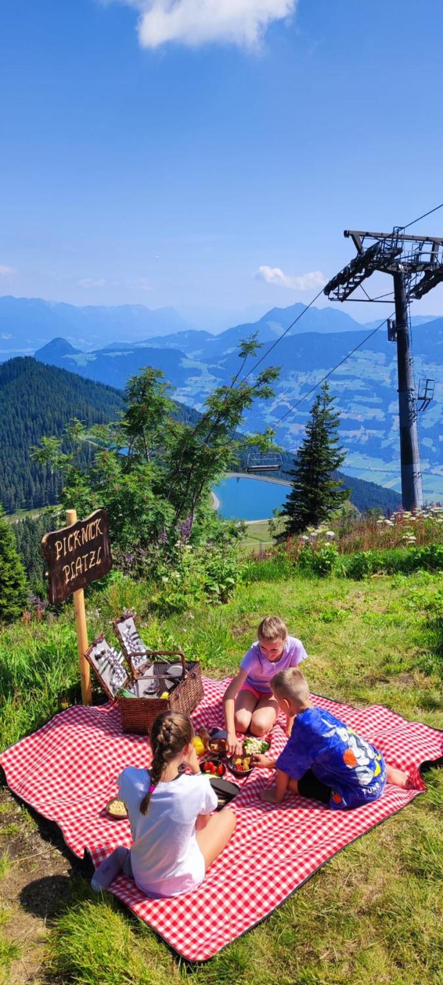 Apartment Katharina Bis 12 Personen Mit Saunachalet Und Blick Auf Bergwelt Des Zillertals Hippach