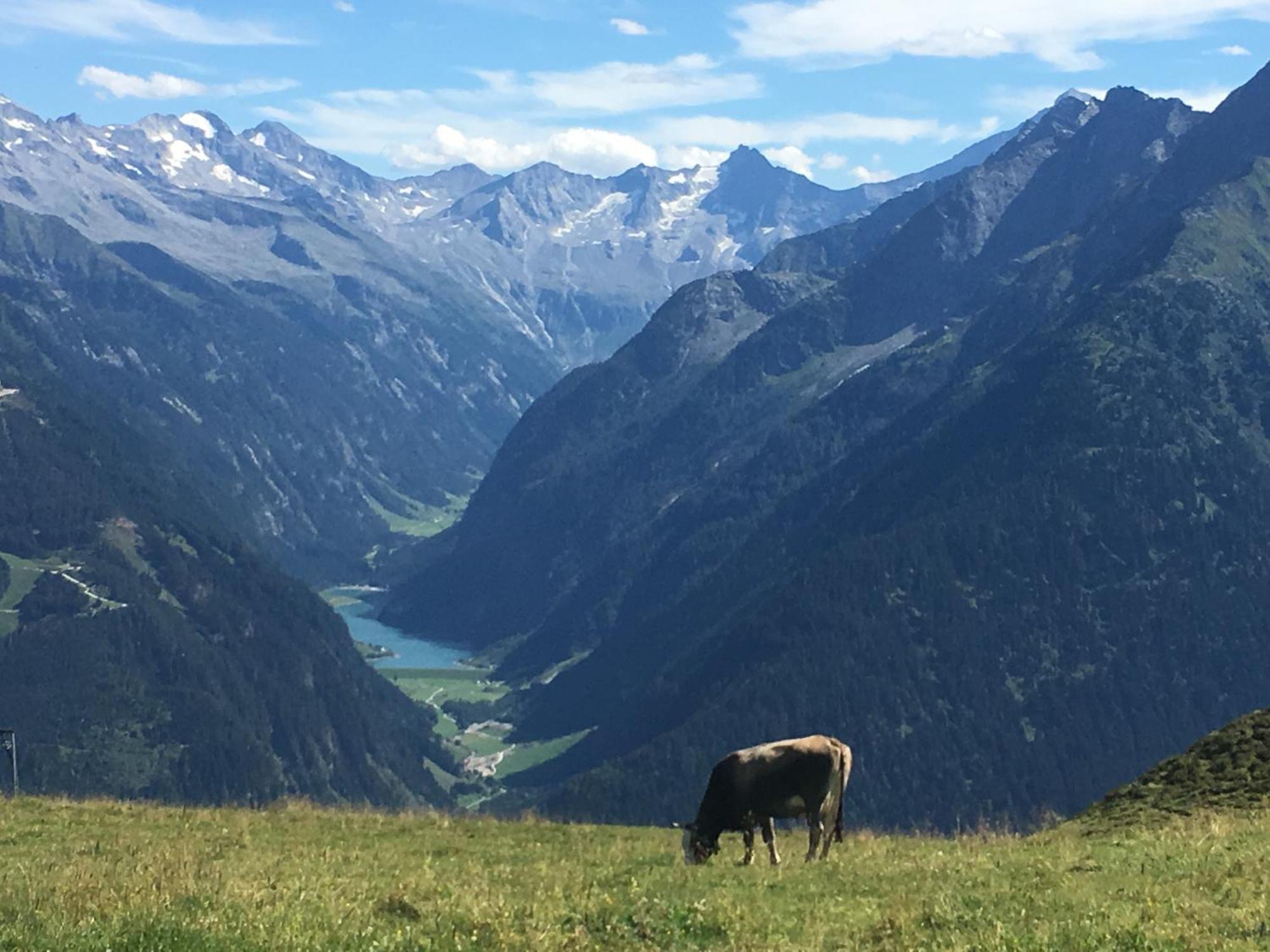 Katharina Bis 12 Personen Mit Saunachalet Und Blick Auf Bergwelt Des Zillertals Apartment Hippach